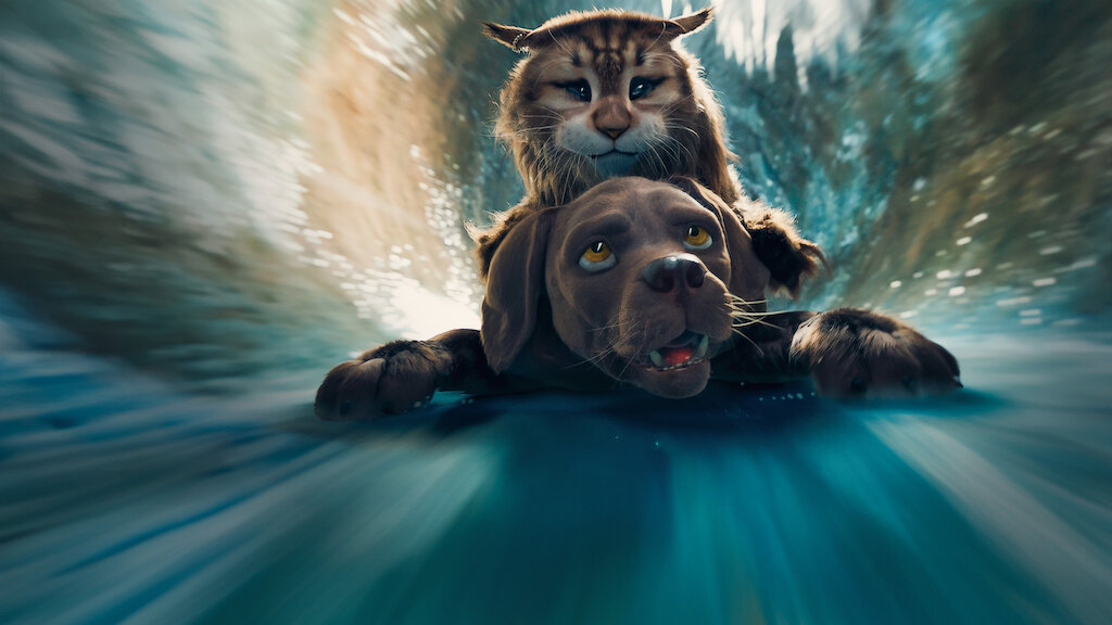 Watch Cat & Dog | Netflix