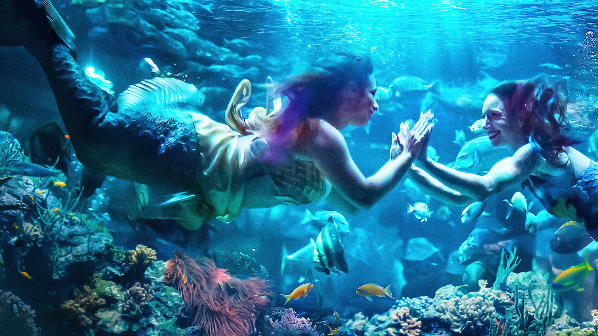 Watch MerPeople | Netflix Official Site