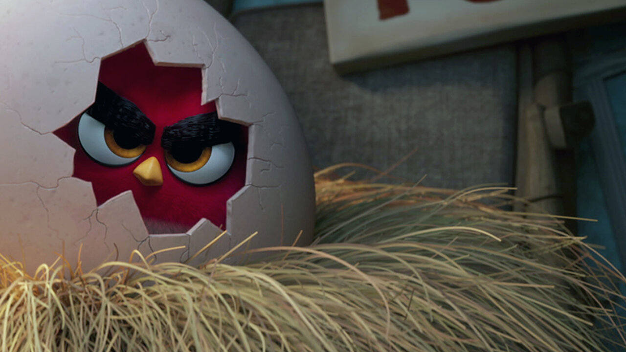 مشاهدة ‎The Angry Birds Movie | Netflix