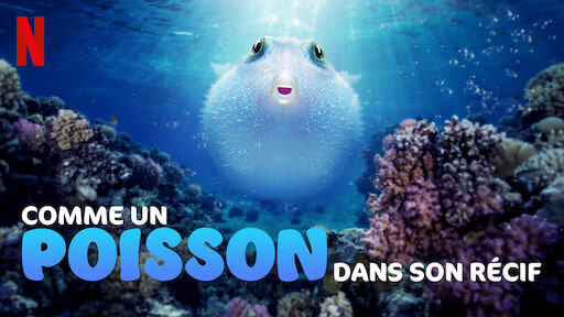 La Sagesse de la pieuvre | Site officiel de Netflix