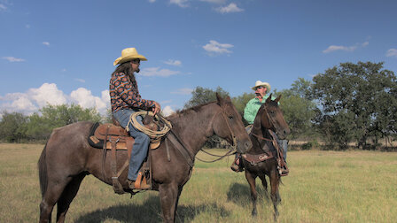 Watch How to Be a Cowboy | Netflix Official Site