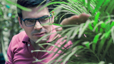 Watch Playing with Fire | Netflix