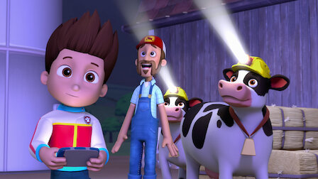 paw patrol pups save a high flying skye