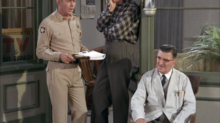 andy griffith show on netflix