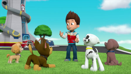 paw patrol waiter bot