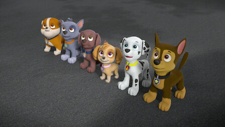 paw patrol pups save the dino eggs