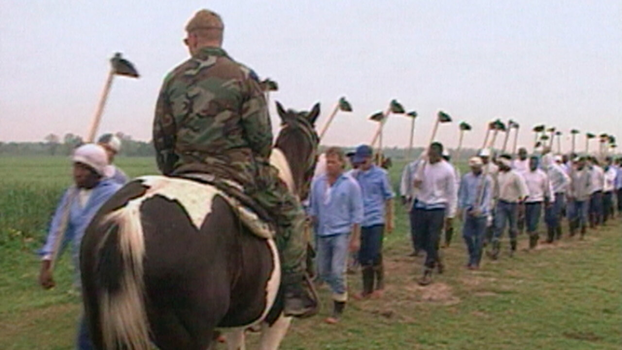 Watch The Farm Life Inside Angola Prison Netflix