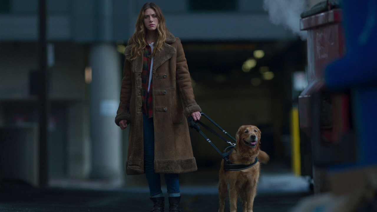 In the Dark | Netflix