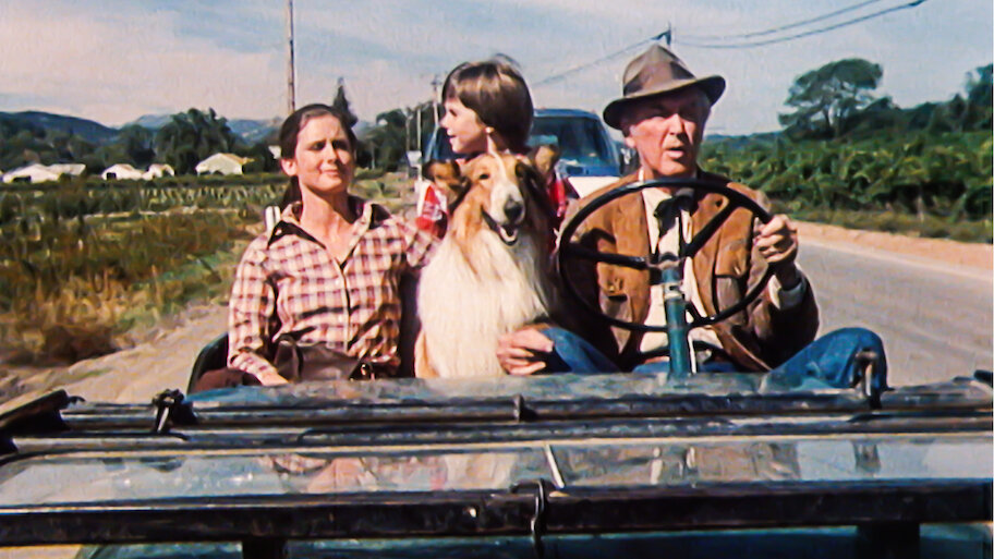 IS LASSIE ON NETFLIX visual data 2