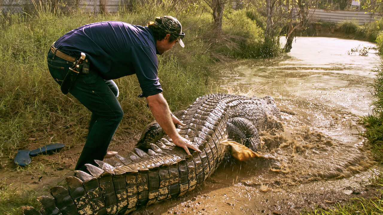 Watch Wild Croc Territory Netflix watch-wild-croc-territory-netflix