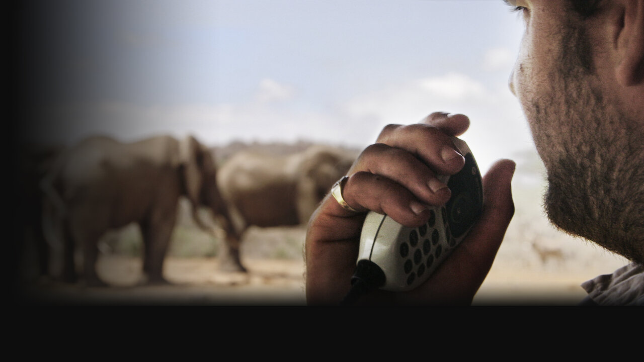 Watch The Ivory Game | Netflix Official Site