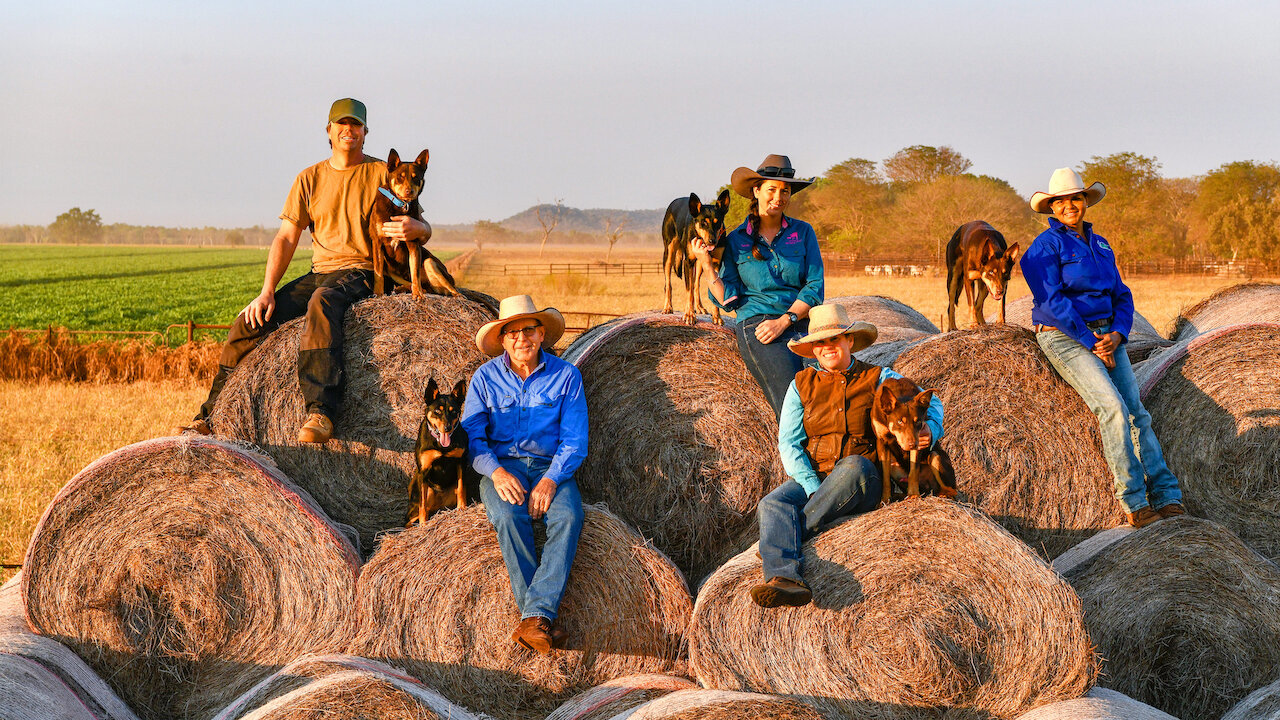 muster dogs season 2 netflix release date usa
