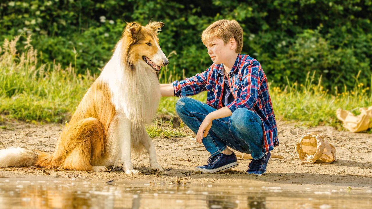 IS LASSIE ON NETFLIX visual data 3