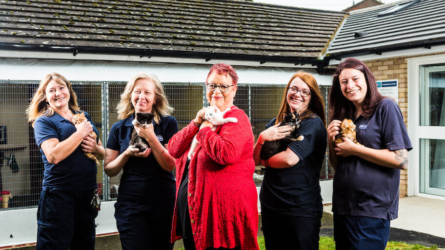 Watch Kitten Rescuers | Netflix