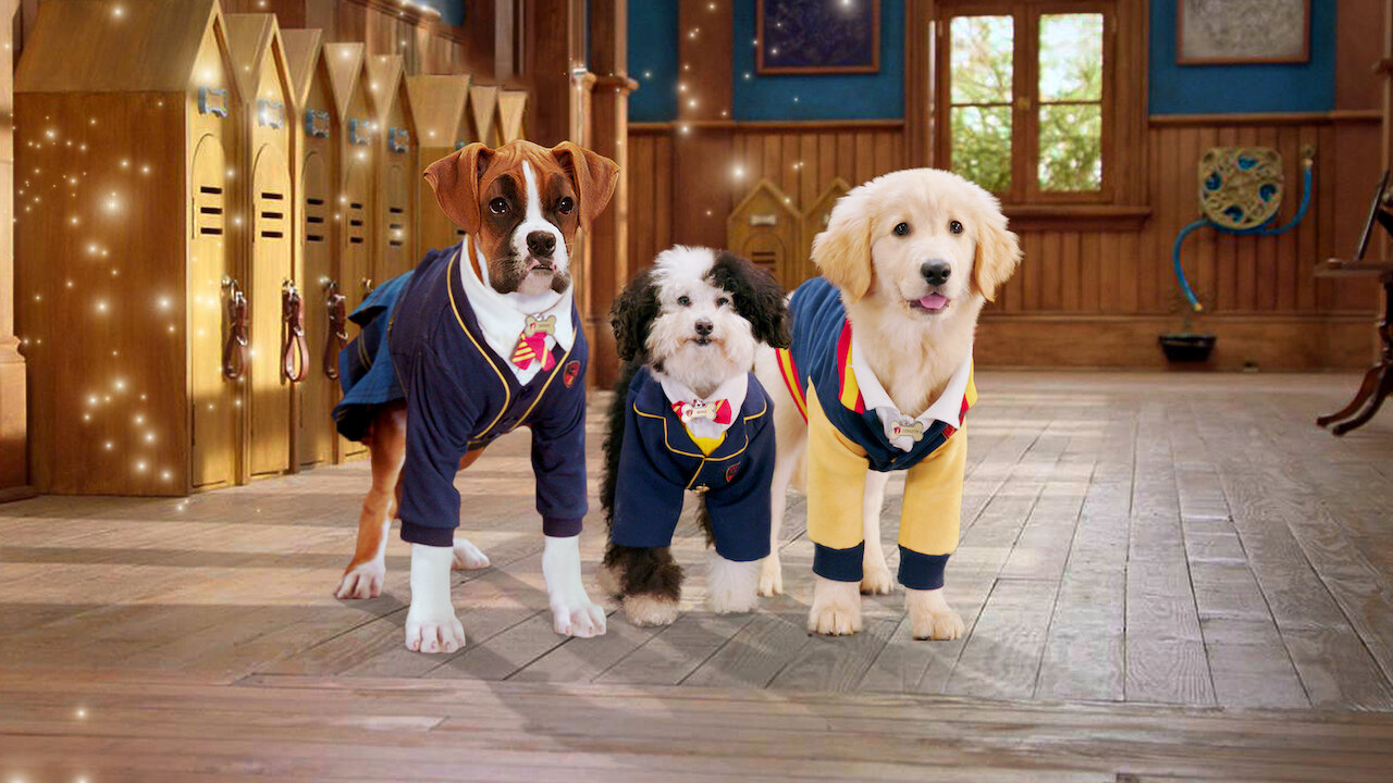 Pup Academy Netflix