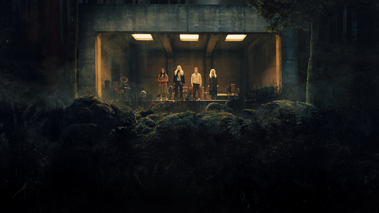 Watch the watchers netflix