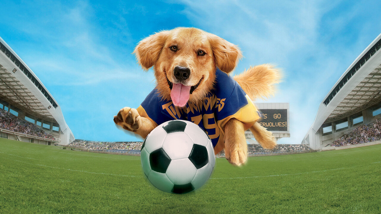 Air Bud 3 Los Cachorros De Buddy