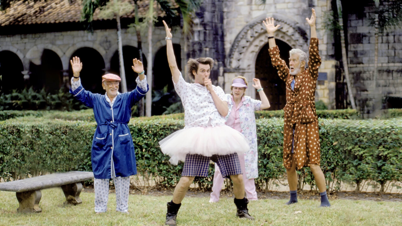 Watch Ace Ventura Pet Detective Netflix
