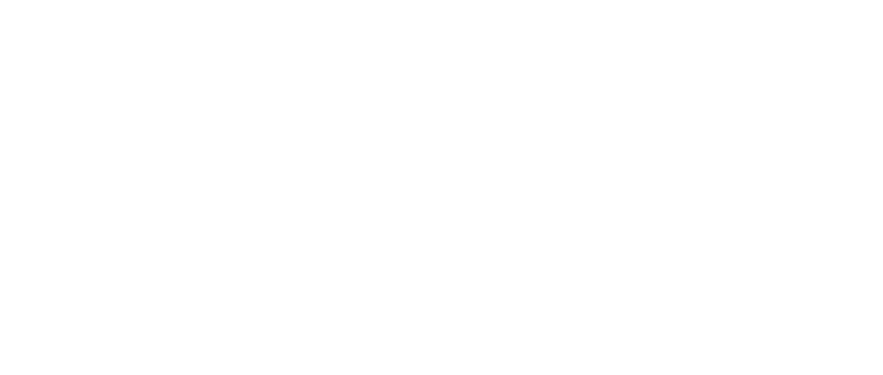 watch-first-lady-netflix