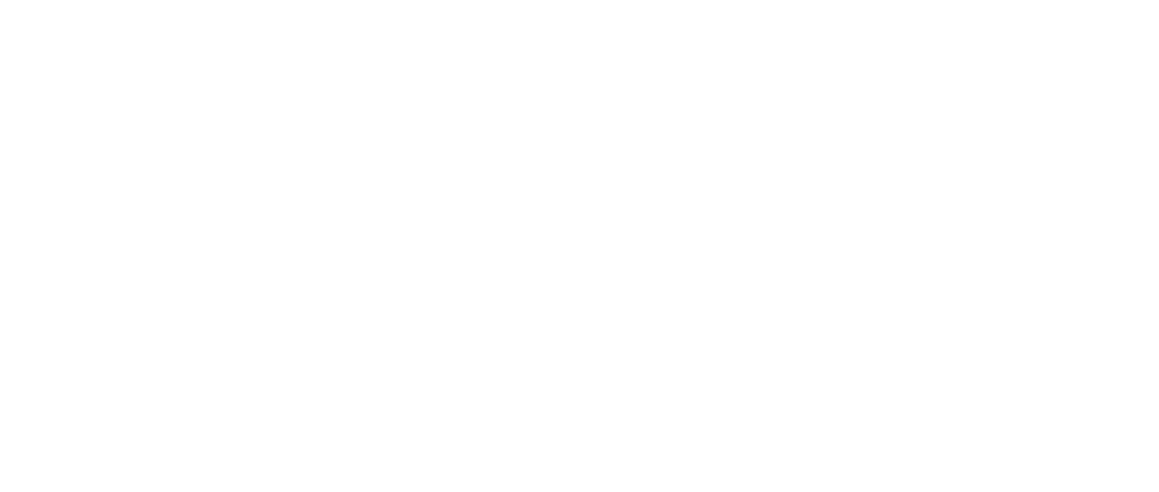 Watch Hunt for the Wilderpeople Netflix