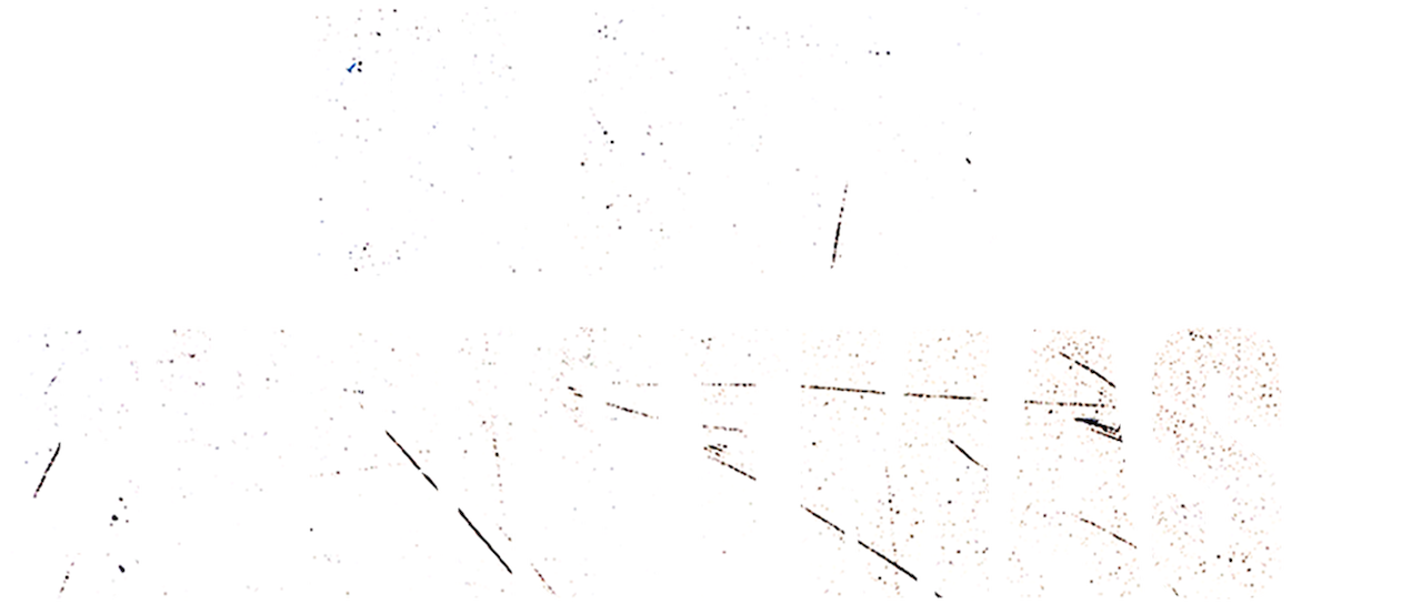 Watch Black Christmas Netflix