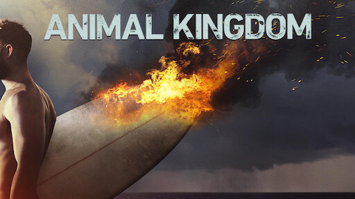 Watch Animal Kingdom | Netflix