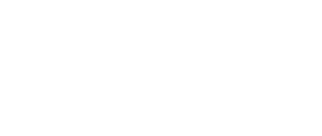 American Pie 5 Una Fiesta De Pelotas