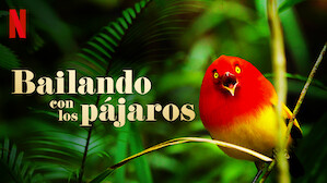 Los mejores documentales | Sitio oficial de Netflix