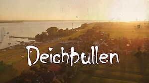Deichbullen Netflix Deichbullen Netflix