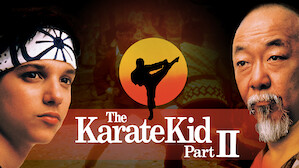 the karate kid netflix series