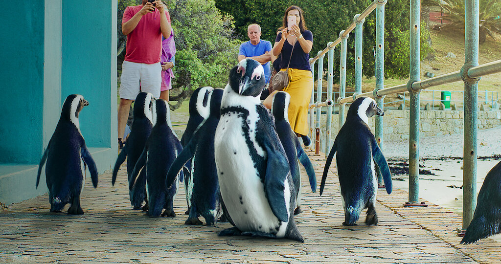 Watch Penguin Town | Netflix Official Site