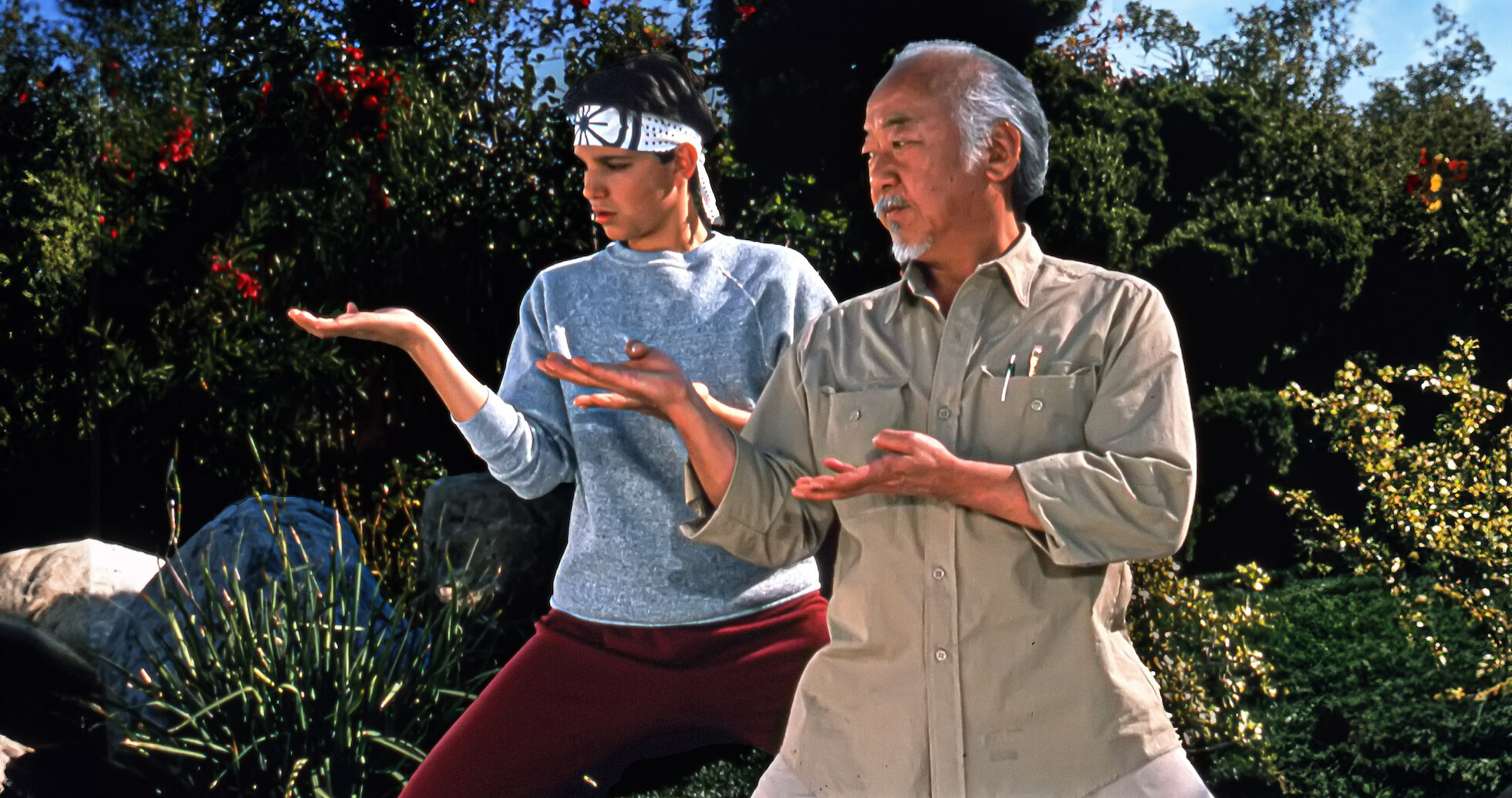 Watch The Karate Kid | Netflix