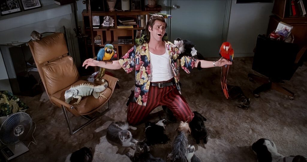 Watch Ace Ventura: Pet Detective | Netflix - How To Watch Ace Ventura Pet Detective For Free