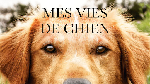 Watch Chien perdu | Netflix Official Site